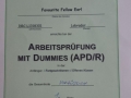 APD A Earl