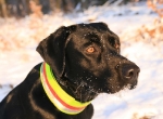 img_8854